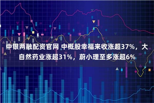 中银两融配资官网 中概股幸福来收涨超37%，大自然药业涨超31%，蔚小理至多涨超6%