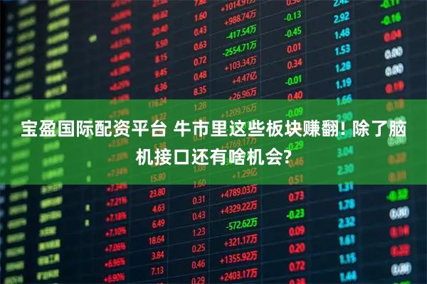 宝盈国际配资平台 牛市里这些板块赚翻! 除了脑机接口还有啥机会?