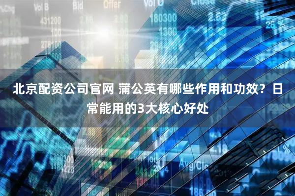 北京配资公司官网 蒲公英有哪些作用和功效？日常能用的3大核心好处