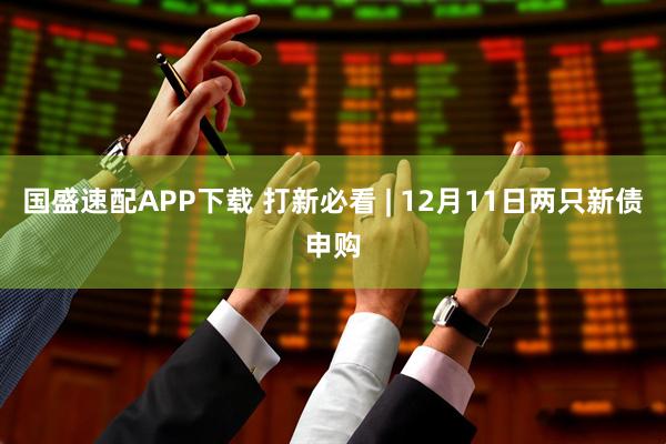 国盛速配APP下载 打新必看 | 12月11日两只新债申购